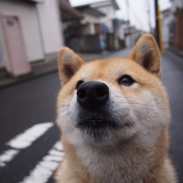 国家队集训基地全面升级,硬件水平大幅提升,国家集训队是干嘛的
